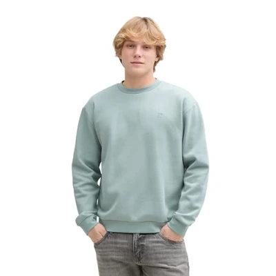Afbeelding van TOM Tailor Denim CREW NECK Sweater, Heren, Maat: Large, Light ice blue