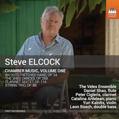 Afbeelding van The Veles Ensemble Chamber Music Volume One (CD)