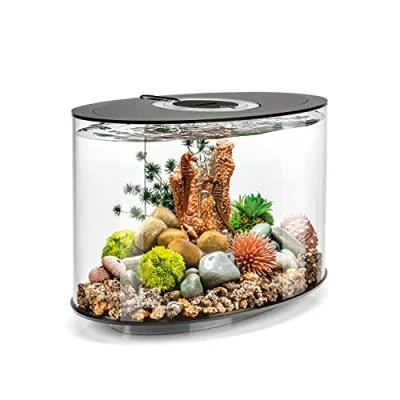 Afbeelding van OASE biOrb 86425 LOOP 15 LED schwarz Aquarium Energielabel: G (A G) l Met verlichting