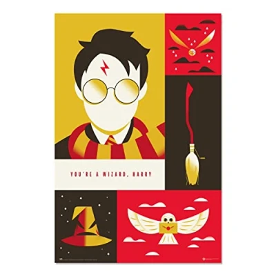 Afbeelding van Poster Harry Potter 100th Anniversary WB 61x91,5cm