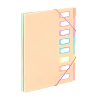 Afbeelding van Viquel Documentenmap A4 met 8 vakken, Rainbow Pastel Beige