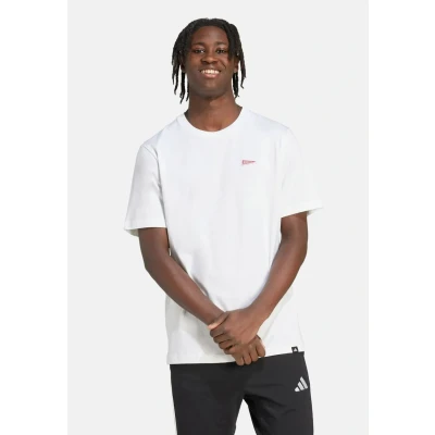 Afbeelding van adidas Sportswear Pennant TRIM Graphic Tshirt basic, Heren, Maat: XS, White