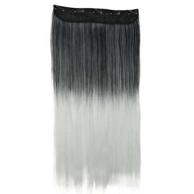 Afbeelding van CAISHA 60cm Clip in Extensions Haarextensies Haarstukje Glad Ombré Grijs Mix C73