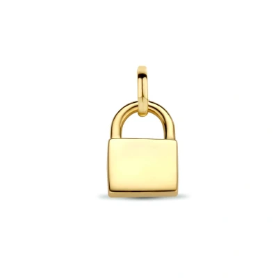 Afbeelding van zilver verguld (geel) hanger slot 2102121