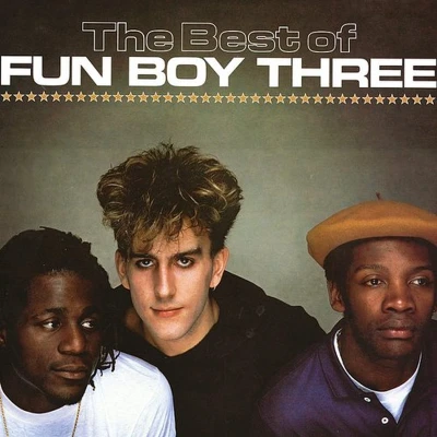 Afbeelding van Fun Boy Three Best of (LP)