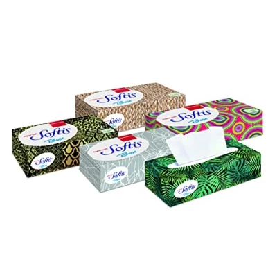 Afbeelding van Regina Softis zakdoeken box, 4 laags, 10 stuks (10 x 1 stuks)