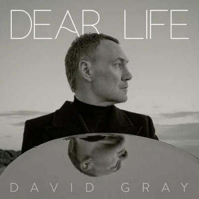 Afbeelding van David Gray Dear Life (CD)