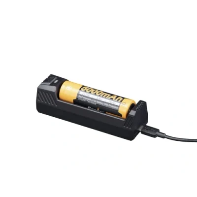 Afbeelding van Fenix Intelligente oplader met enkele schacht ARE X1 V.2.0