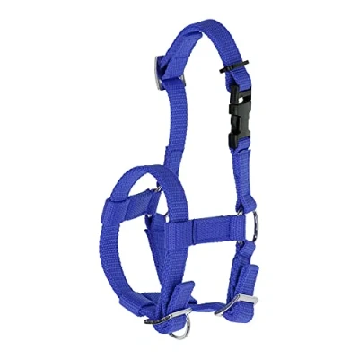 Afbeelding van Alpaca halster blauw
