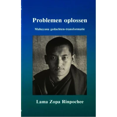 Afbeelding van Problemen oplossen (Paperback)
