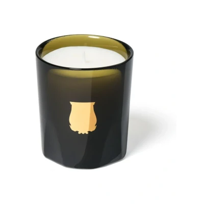 Afbeelding van Cire Trudon Perfumed Candle Abd el Kader