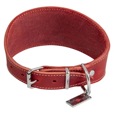 Afbeelding van JACK AND VANILLA, Hondenhalsband, model vet leer, kleur rood, maat 42 cm