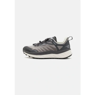 Afbeelding van Lowa Fortux GTX Trail hardloopschoenen, Dames, Maat: 42.5, Schwarz/weiß Textiel/ synthetisch