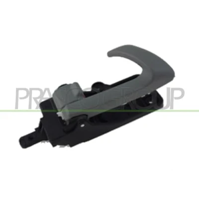 Afbeelding van Handgreep, interieur PRASCO HN8168607