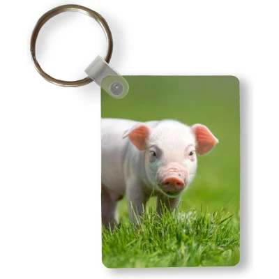 Afbeelding van Sleutelhanger Biggetje Konijn Dieren Uitdeelcadeautjes Plastic