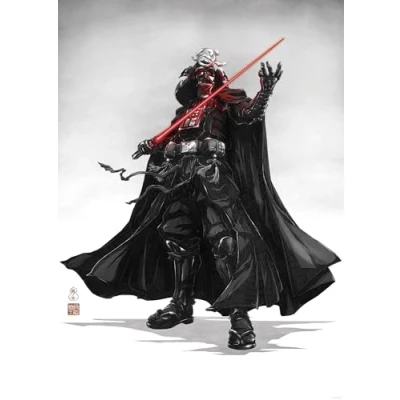 Afbeelding van Komar Artprint Star Wars Vision Samurai Dark Lord 50 x 70 cm (breedte hoogte) kinderkamer, wandsticker (set)