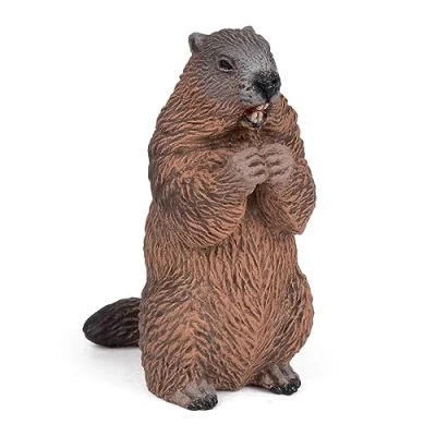Afbeelding van Papo Handgeschilderde Figuurtjes Wild Dierenrijk Marmot 50128 Verzamelbaar voor kinderen Geschikt jongens en meisjes Vanaf 3 jaar