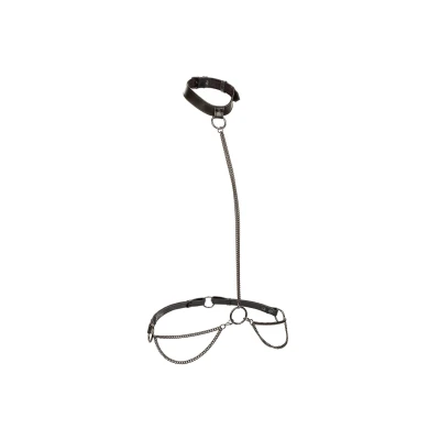 Afbeelding van CalExotics Euphoria Collection Chain Halter/Collar &amp; Leash Zwart