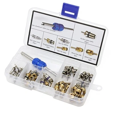 Afbeelding van HSeaMall Airconditioning A/C Ventiel R12 R134a Automotive Koeling Band Kernen Remover tool Assortiment Kit (40 STKS)