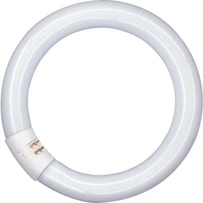 Afbeelding van Osram FL Lamp 22W/865 CG10Q FLH1