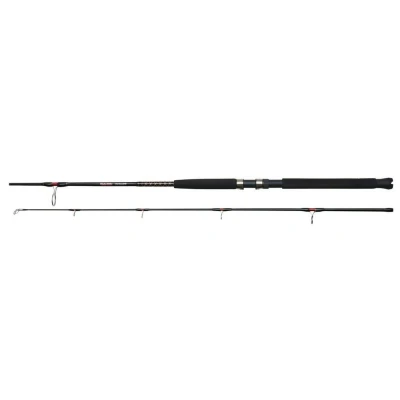 Afbeelding van Ugly Stik Bigwater Zeevis Spinhengel 3m (20 80g)