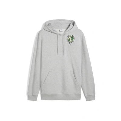 Afbeelding van Puma Graphics Super Hoodie, Heren, Maat: Large, Light gray heather
