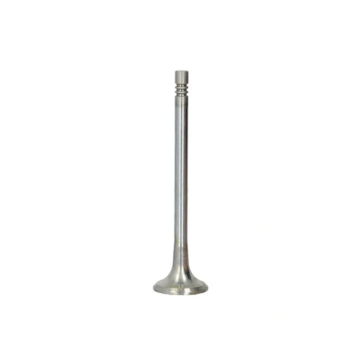 Afbeelding van Uitlaatklep FRECCIA R6549/RCR