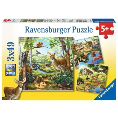 Afbeelding van Bos /dierentuin /huisdieren