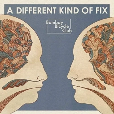 Afbeelding van A Different Kind Of Fix (LP)