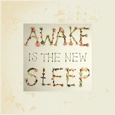 Afbeelding van Ben Lee Awake is the New Sleep (2 LPs)