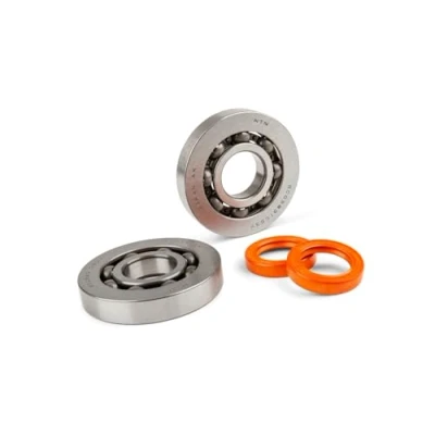 Afbeelding van Krukaslagerset Stage6 R/T FKM voor Piaggio 125 180cc 2 Takt