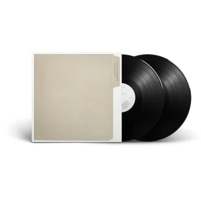 Afbeelding van Rex Orange County The Alexander Technique (2 LPs)