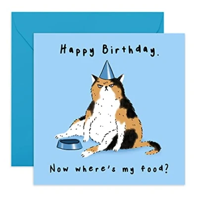 Afbeelding van Central 23 Grappige verjaardagskaart Kattenthema &#039;Waar is mijn eten&#039; Voor vrienden Wordt geleverd met leuke stickers