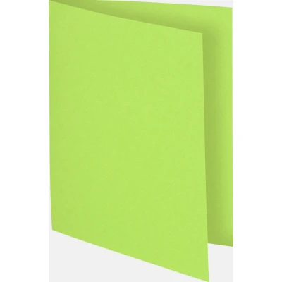 Afbeelding van 100 Dossiermappen FLASH 220 100% Gerecycleerd 24x32cm Linden