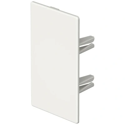 Afbeelding van OBO Bettermann 6175566 Eindstuk (b x h) 60 mm 110 Zuiver wit 10 stuk(s)