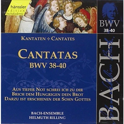 Afbeelding van Bach Ensemble, Helmuth Rilling J.S. Bach: Cantatas Bwv 38 40 (CD)