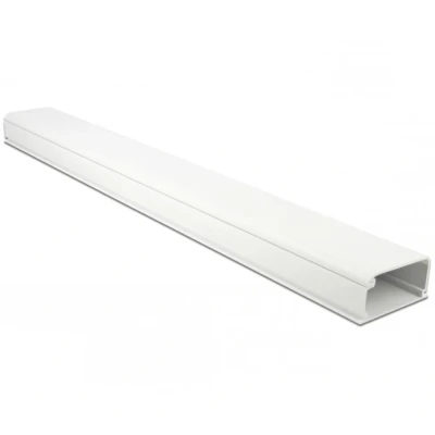 Afbeelding van Delock kabelgoot met deksel 57 x 28 mm lengte 1 m wit