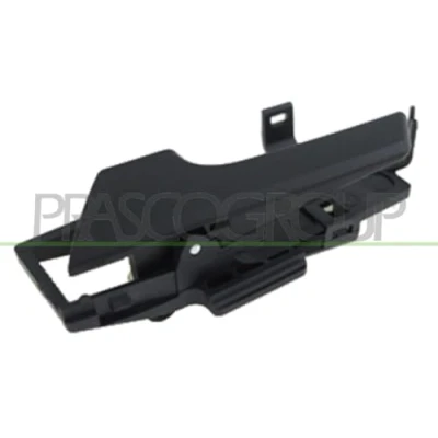 Afbeelding van Handgreep, interieur PRASCO DW3278602