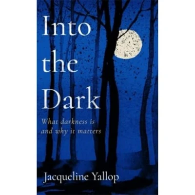Afbeelding van Into the Dark: What darkness is and why it matters