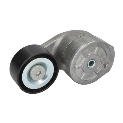 Afbeelding van Spanpoelie V rib riem SKF VKMCV 56009