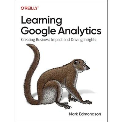 Afbeelding van 9781098113087 Learning Google Analytics