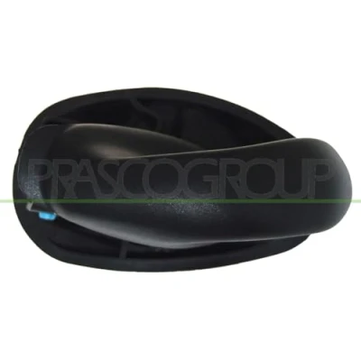 Afbeelding van Handgreep, interieur PRASCO FT0198402
