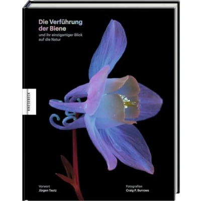 Afbeelding van die Verführung der Biene: und ihr einzigartiger Blick auf Natur