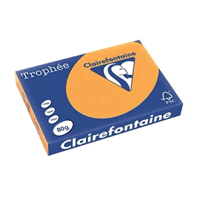 Afbeelding van Clairefontaine Trophée Pastel, gekleurd papier, A3, 80 g, 500 vel, climentine papier