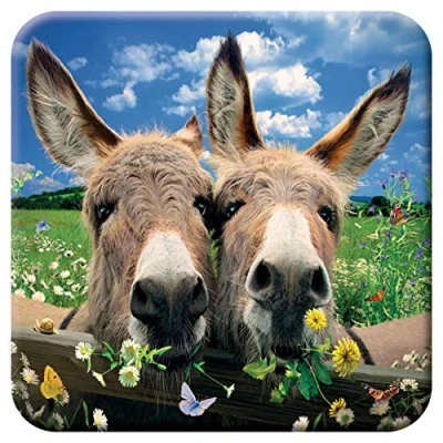 Afbeelding van 3D LiveLife Onderzetter van Kurk Ezels, Deluxebase. Lenticulaire Boerderij Onderzetter. Antislip drinkmat met origineel kunstwerk onder licentie de bekende kunstenaar David Penfound