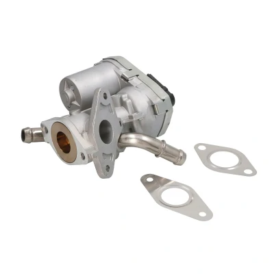 Afbeelding van EGR klep NGK 90300 EGE5 D