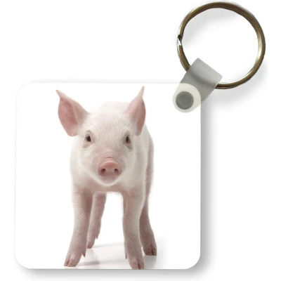 Afbeelding van Sleutelhanger Uitdeelcadeautjes Varken Dieren Wit Plastic
