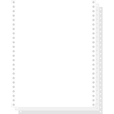 Afbeelding van EXACOMPTA Computerpapier eindeloos, 30,48 cm (12&quot;) x 240 mm VE = 1