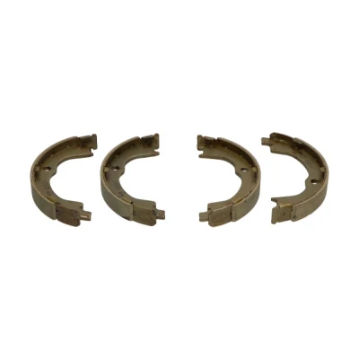 Afbeelding van Kavo Parts Remschoen set KBS 1406