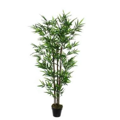 Afbeelding van Mica Decorations bamboe in pot maat cm: 150 x 85